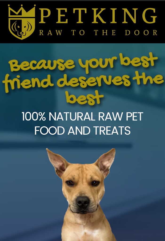 Pet King Advert